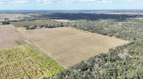 7053 George Marsh Road Zolfo Springs FL 33890