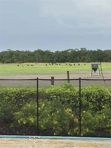 7053 George Marsh Road Zolfo Springs FL 33890