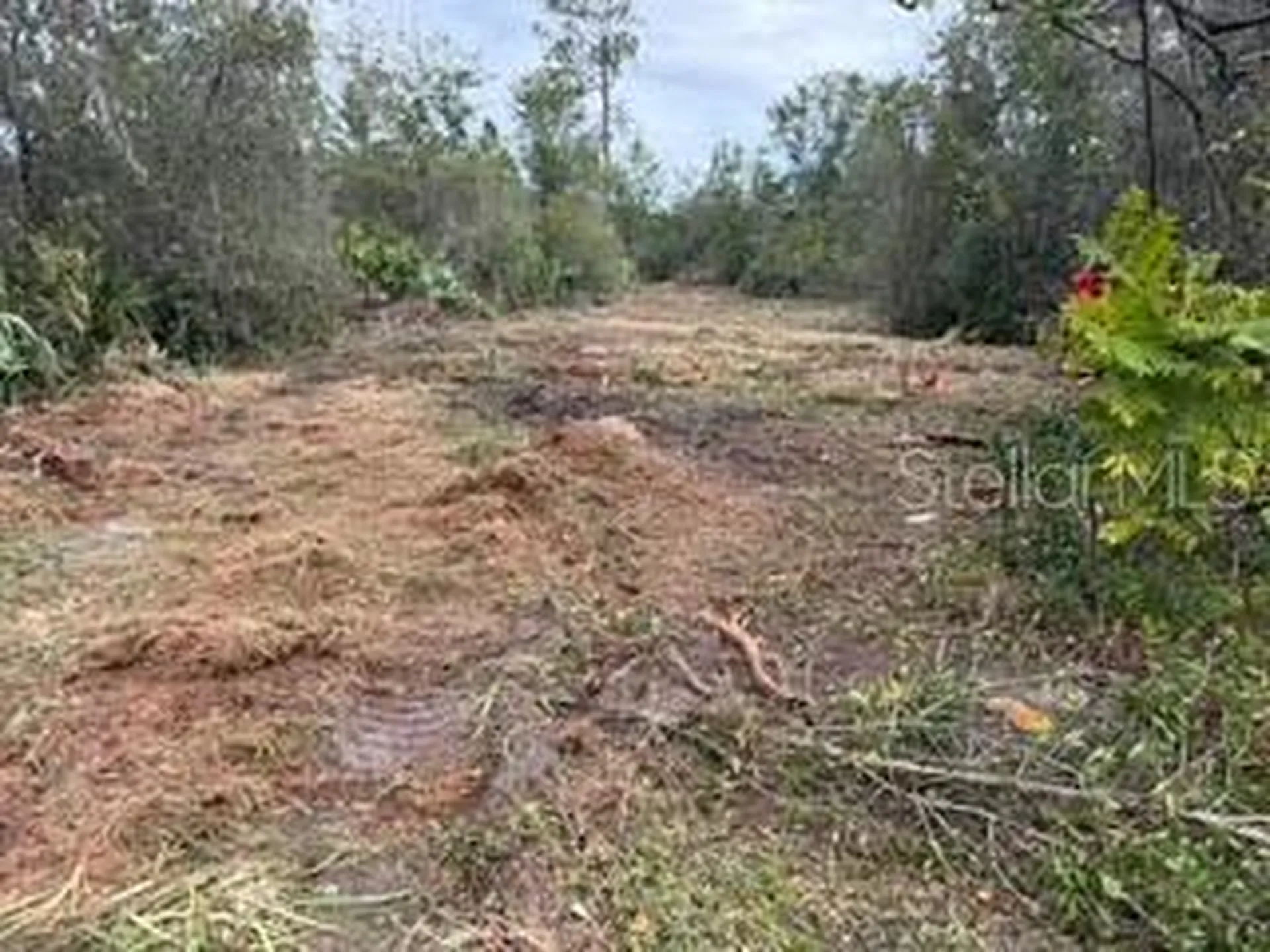 Lakeside Drive Deland FL 32720