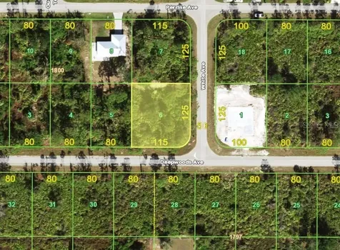 12448 Deepwoods Avenue Port Charlotte FL 33981
