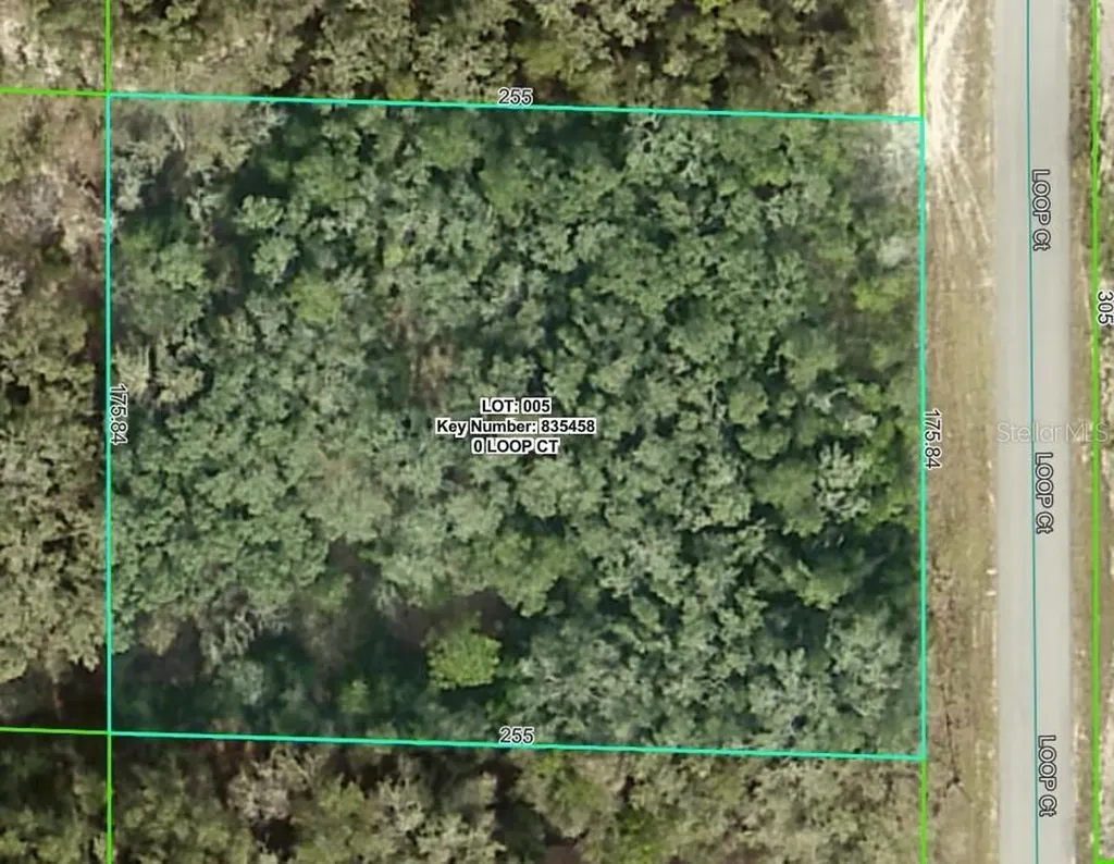 0 Loop Court Webster FL 33597