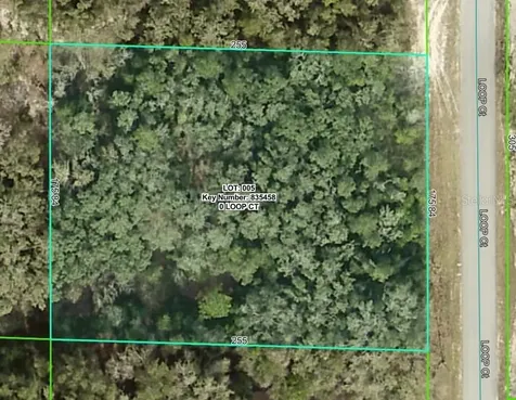 0 Loop Court Webster FL 33597