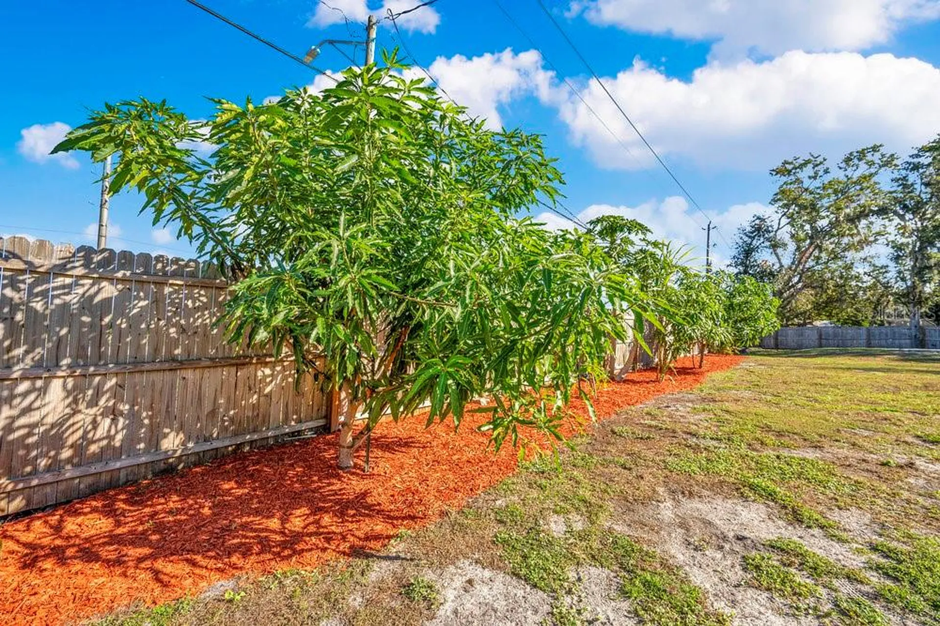 3808 W Country Loop Lakeland FL 33811