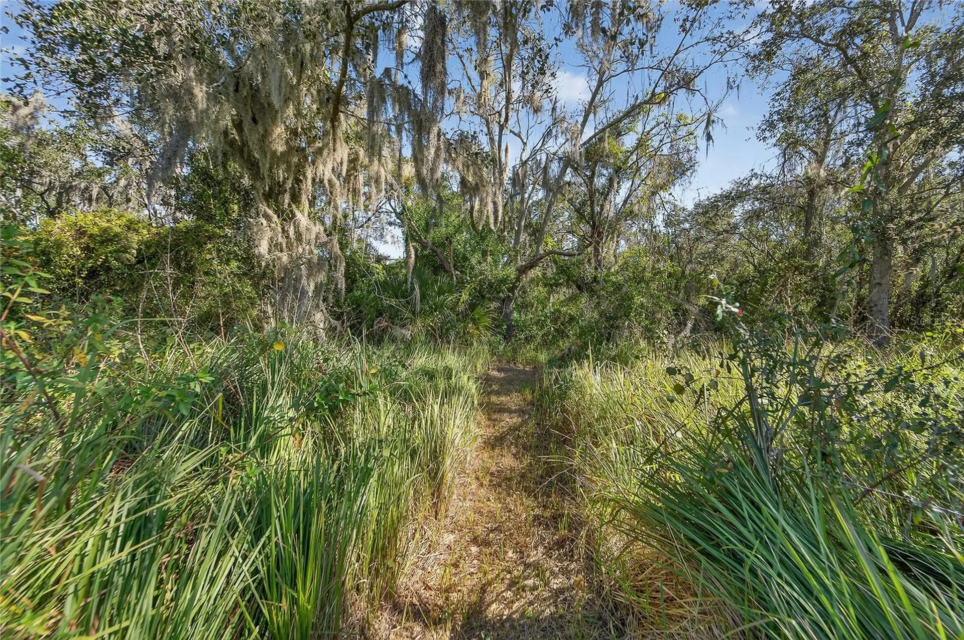 1728 Fred Ives Street Ruskin FL 33570