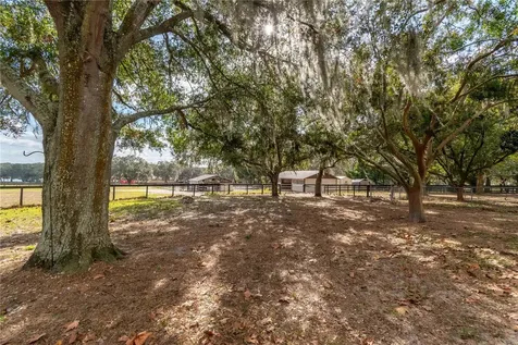 2902 Marion County Road Weirsdale FL 32195