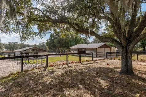 2902 Marion County Road Weirsdale FL 32195
