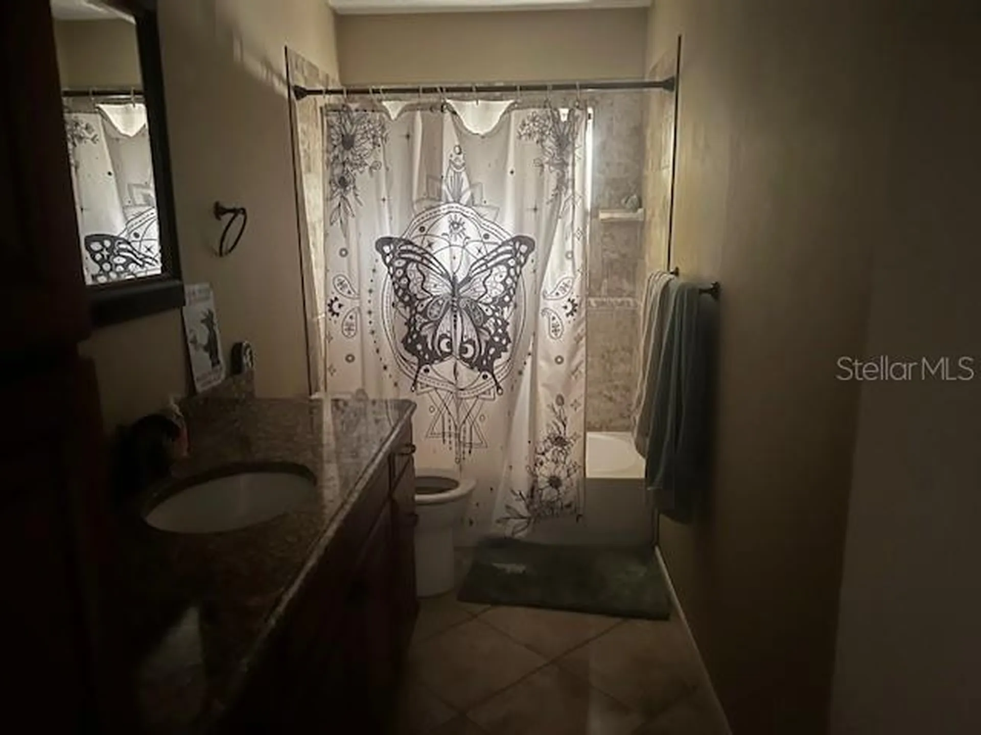 610 Valle Vista Drive Brandon FL 33511