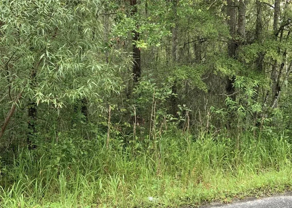 20616 NW 75th Street Alachua FL 32615