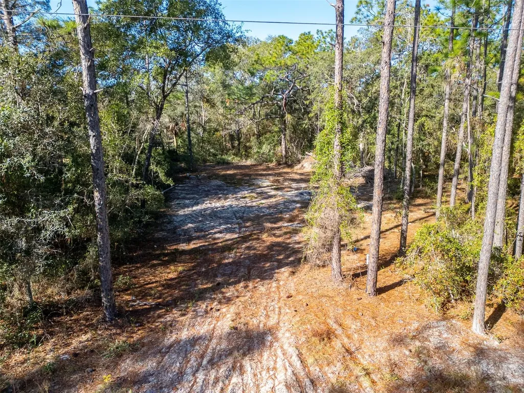 331 Quail Hollow Road Satsuma FL 32189