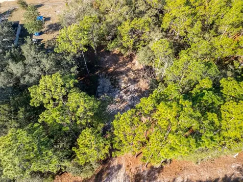 331 Quail Hollow Road Satsuma FL 32189