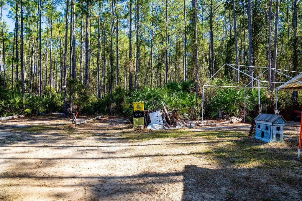 132 Nutmeg Trail Interlachen FL 32148