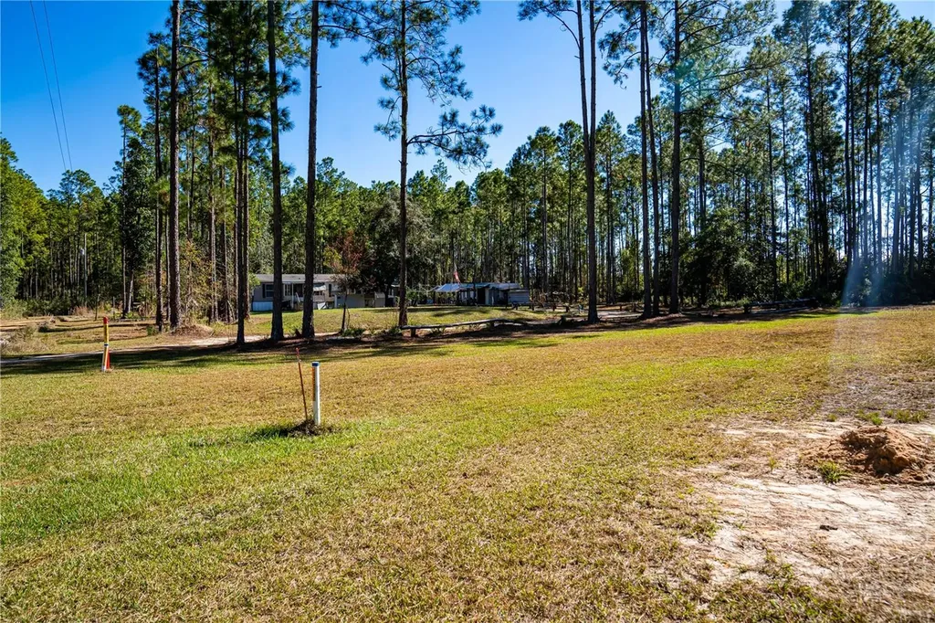 132 Nutmeg Trail Interlachen FL 32148