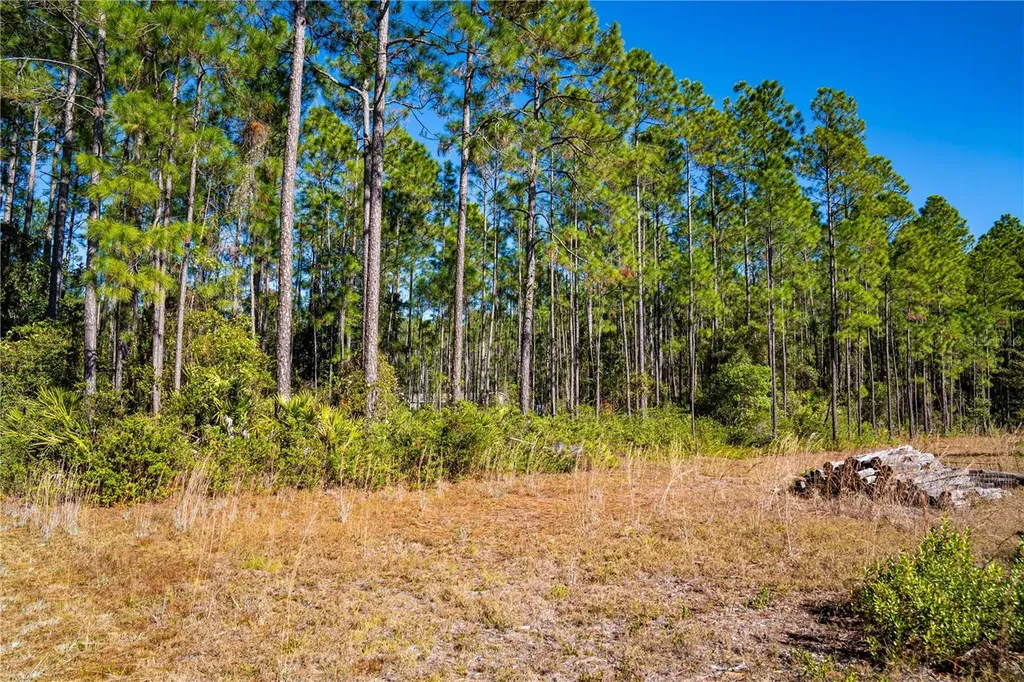 132 Nutmeg Trail Interlachen FL 32148