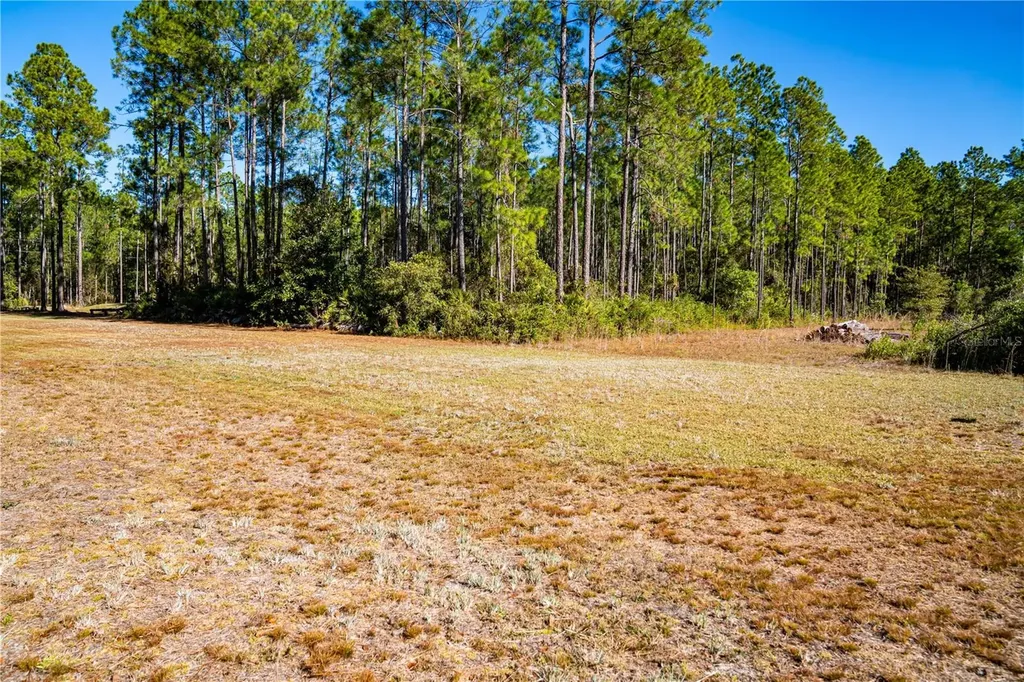 132 Nutmeg Trail Interlachen FL 32148
