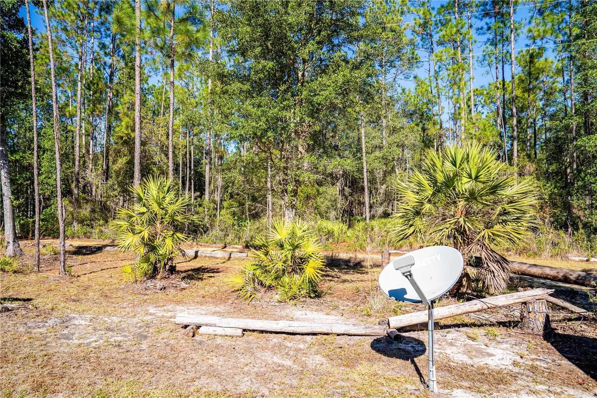 132 Nutmeg Trail Interlachen FL 32148