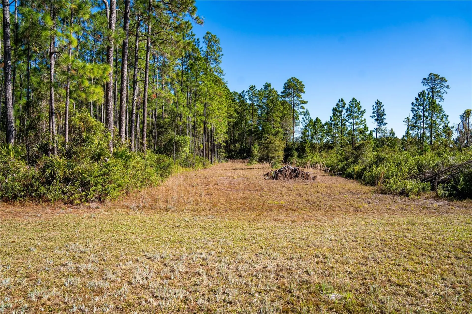 132 Nutmeg Trail Interlachen FL 32148