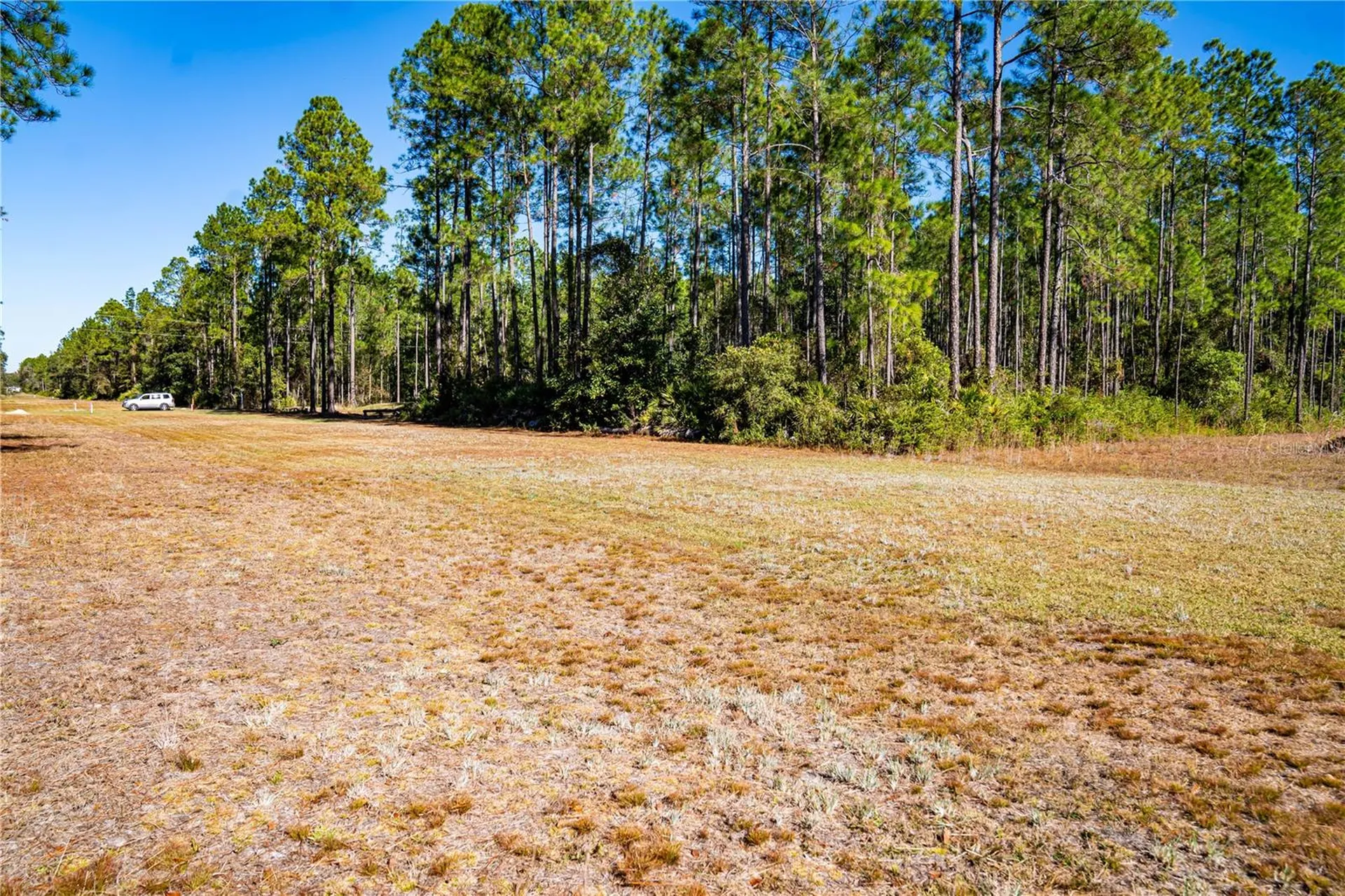 132 Nutmeg Trail Interlachen FL 32148
