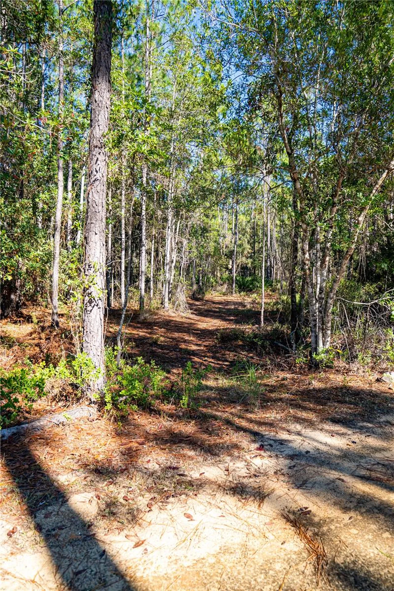 132 Nutmeg Trail Interlachen FL 32148