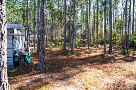 132 Nutmeg Trail Interlachen FL 32148