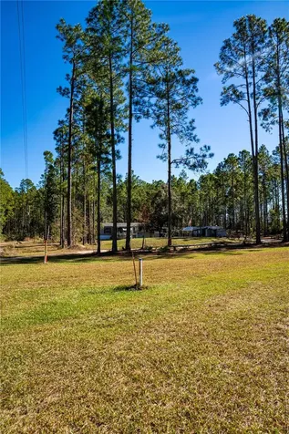132 Nutmeg Trail Interlachen FL 32148