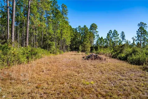 132 Nutmeg Trail Interlachen FL 32148