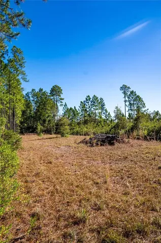132 Nutmeg Trail Interlachen FL 32148