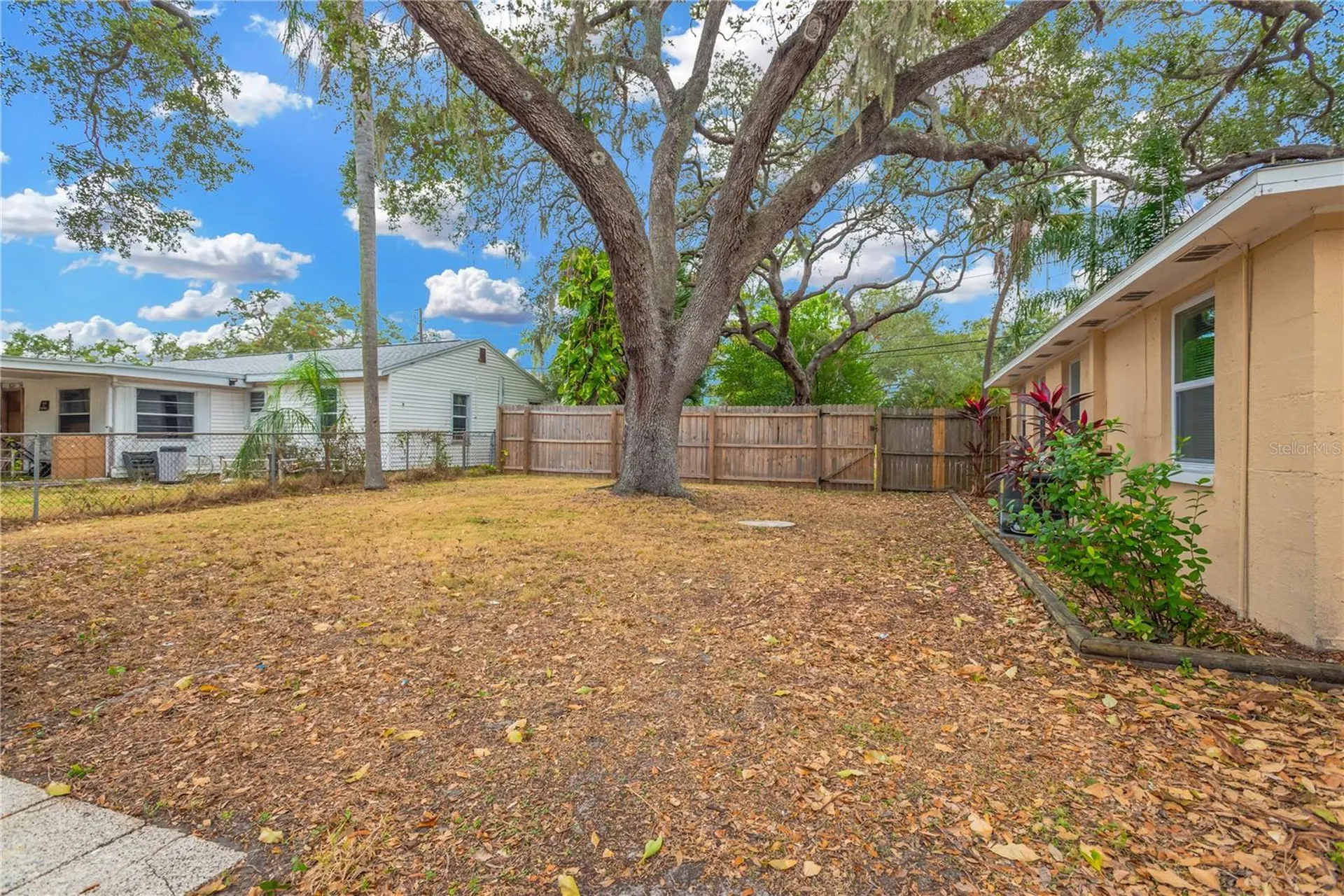 559 Norfolk Street Dunedin FL 34698