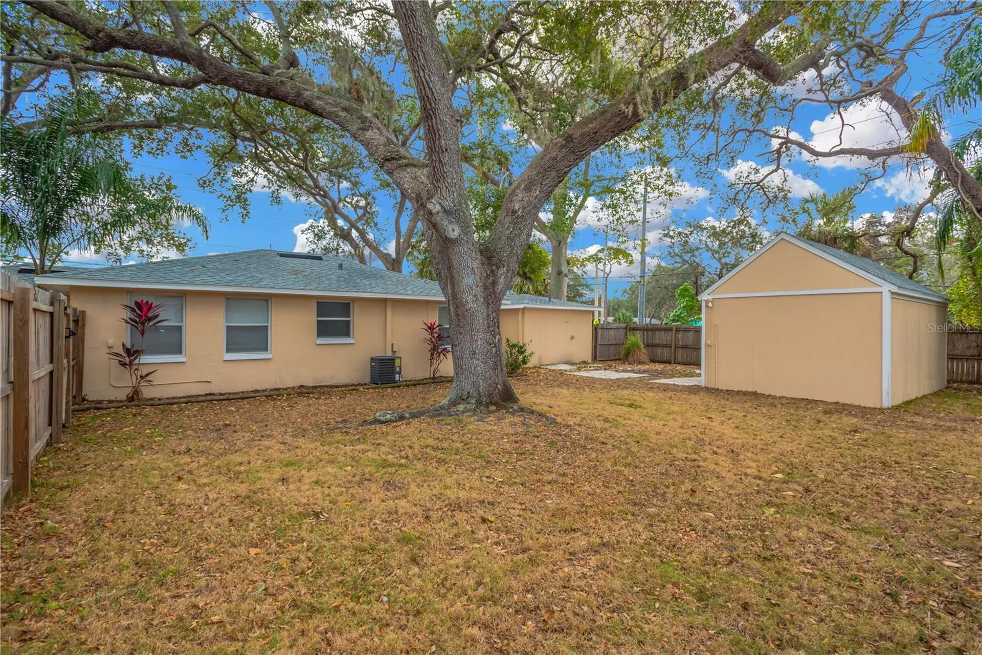 559 Norfolk Street Dunedin FL 34698