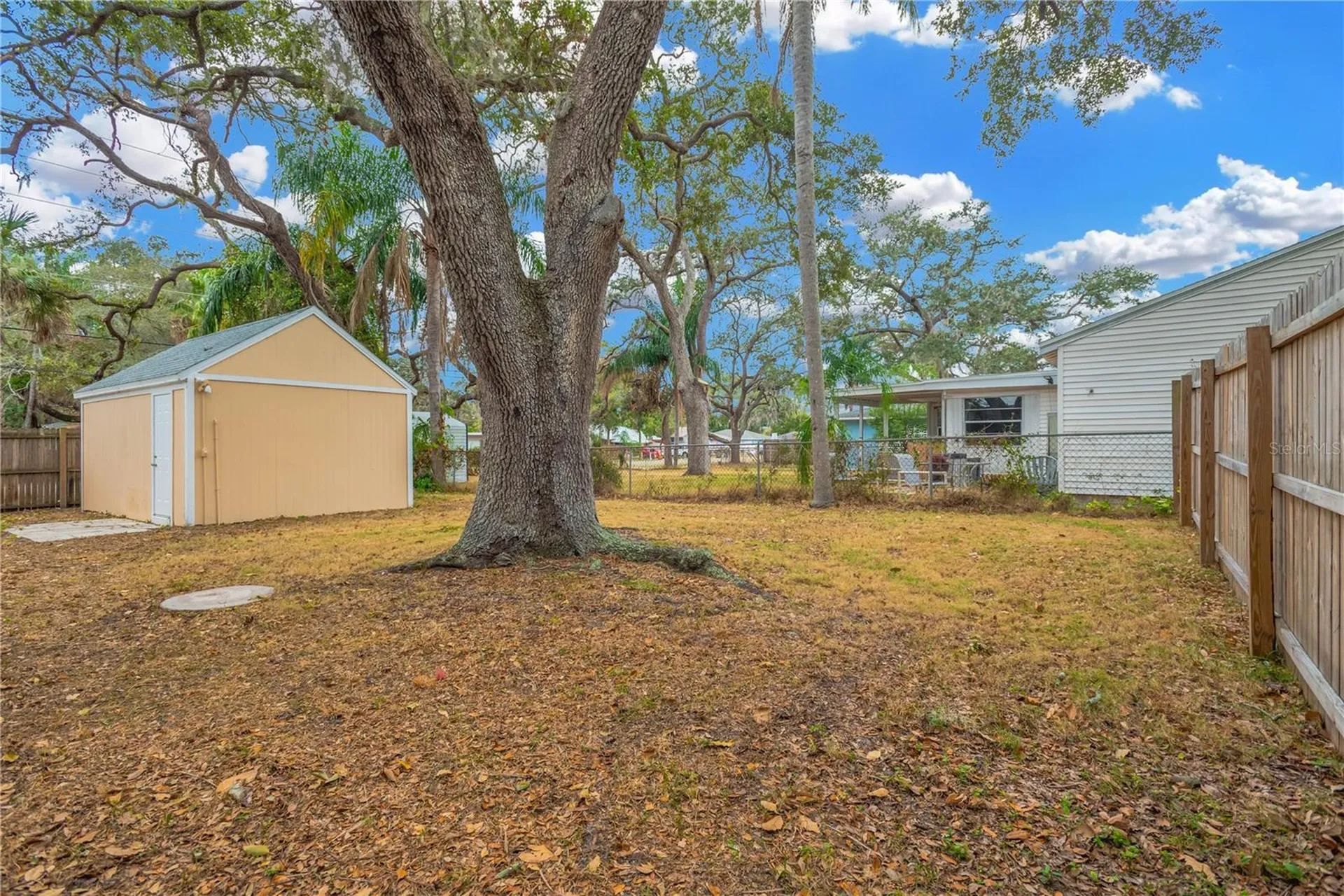 559 Norfolk Street Dunedin FL 34698