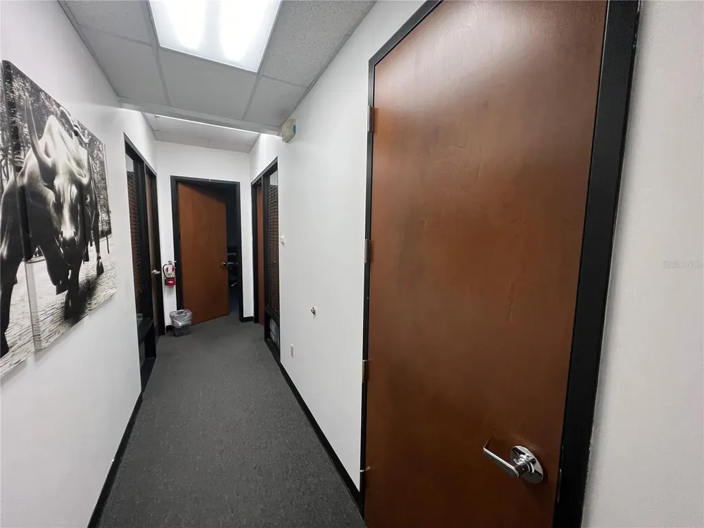3410 Henderson Boulevard Tampa FL 33609