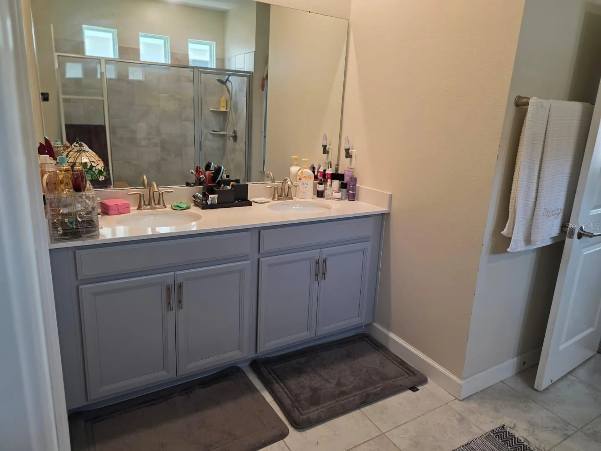 1211 Dora Parc Lane Mount Dora FL 32757