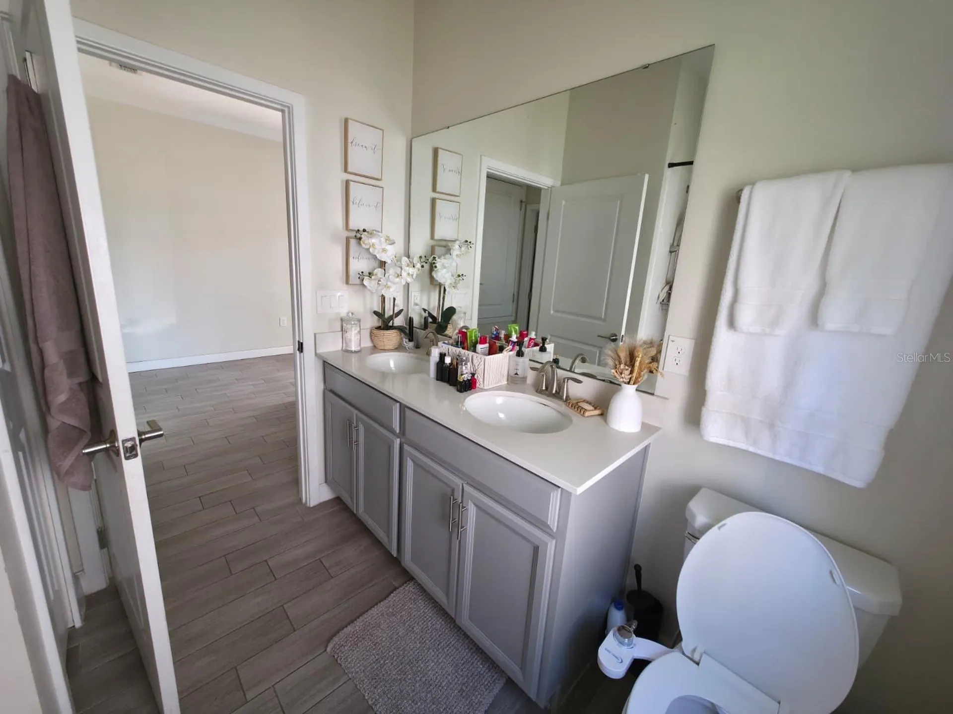 1211 Dora Parc Lane Mount Dora FL 32757