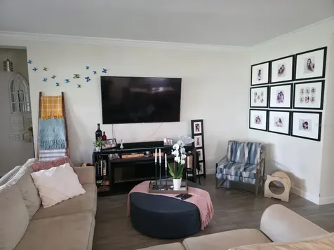 1211 Dora Parc Lane Mount Dora FL 32757