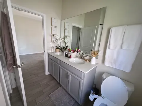 1211 Dora Parc Lane Mount Dora FL 32757