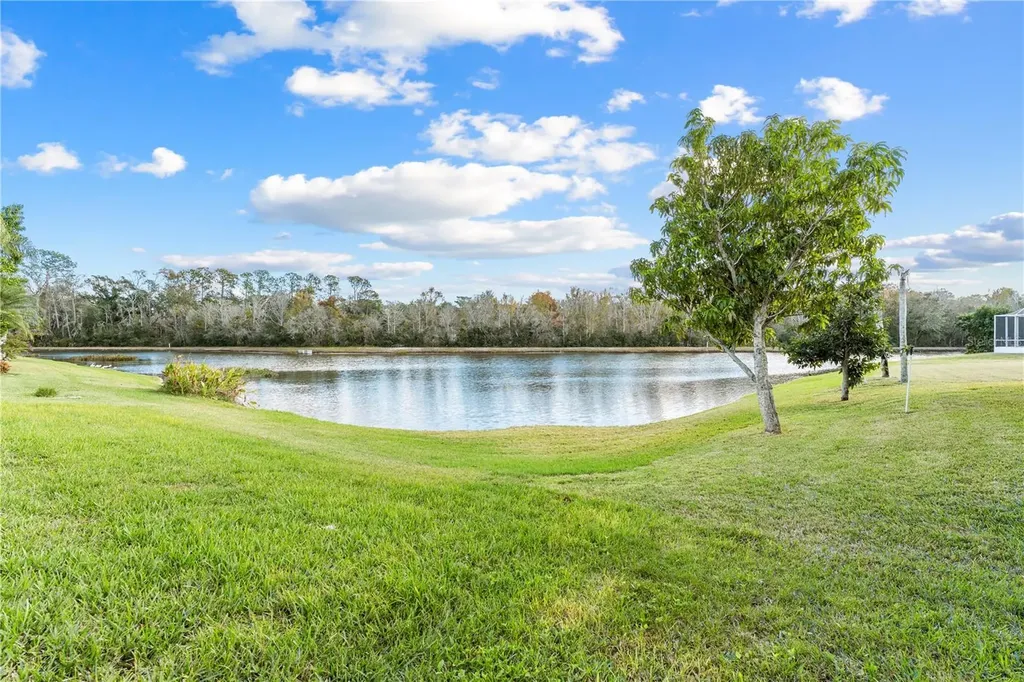 27416 Breakers Drive Wesley Chapel FL 33544