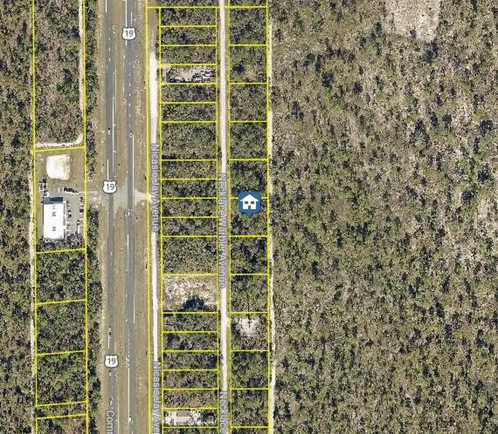 Lot 8 Necklace Warbler Avenue Weeki Wachee FL 34614