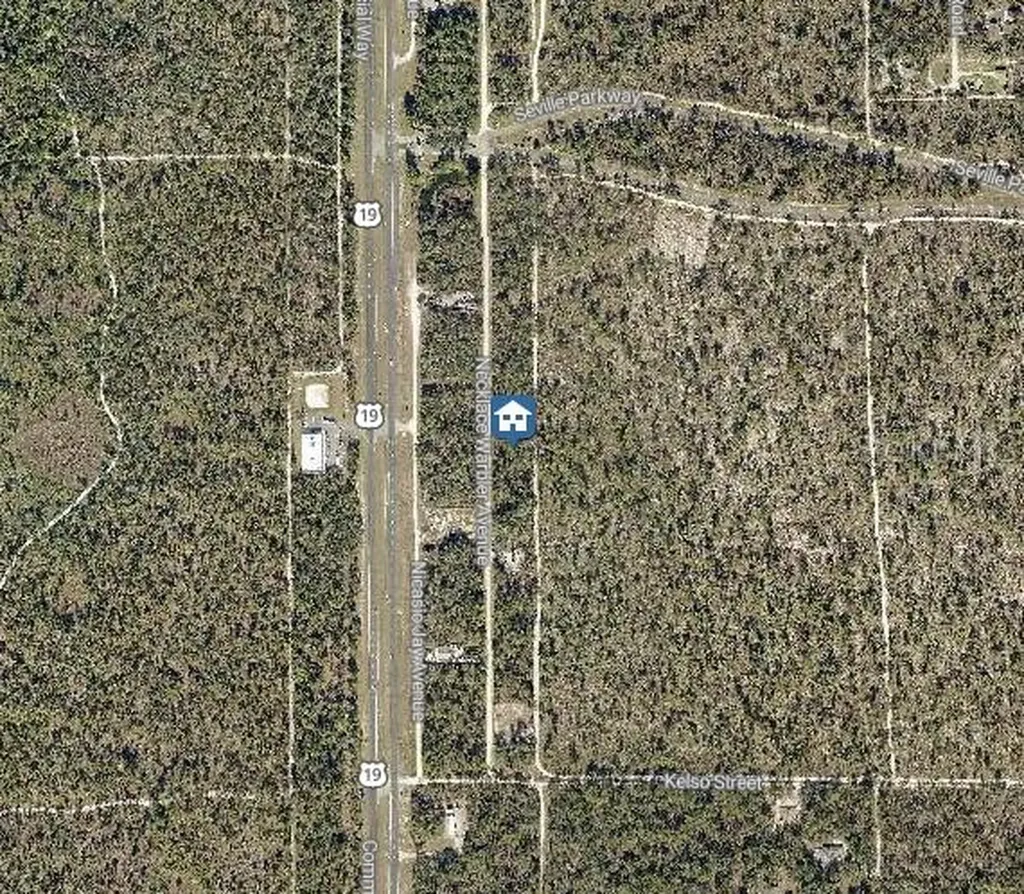 Lot 8 Necklace Warbler Avenue Weeki Wachee FL 34614