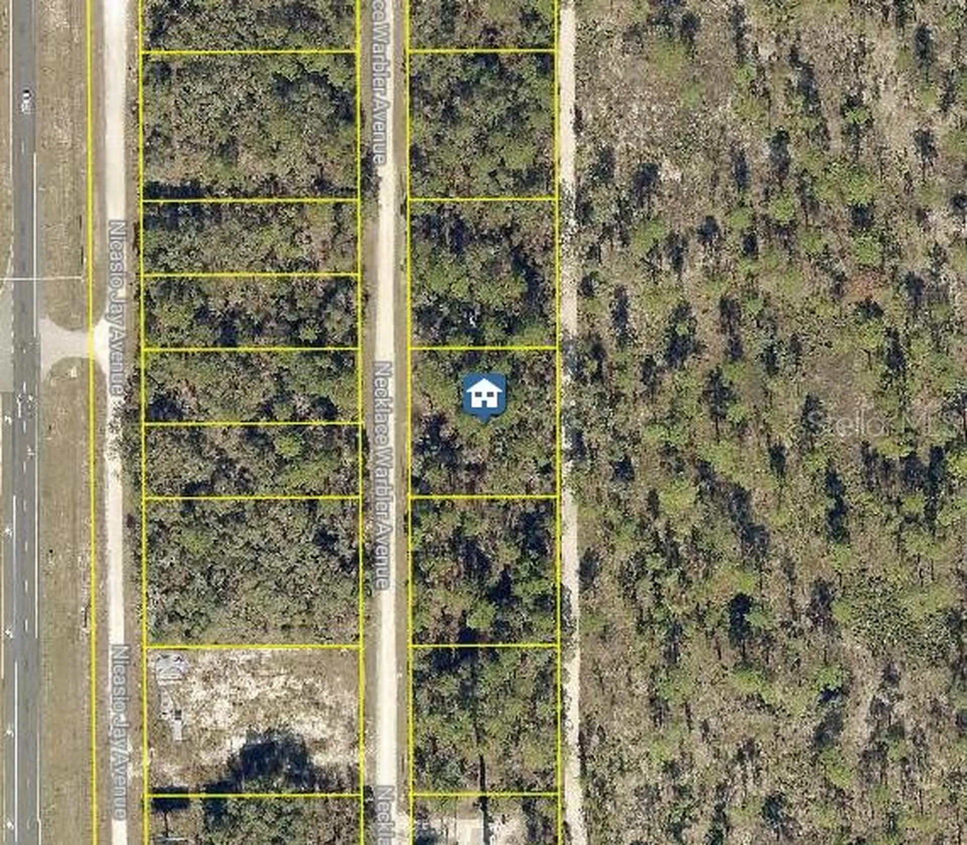 Lot 8 Necklace Warbler Avenue Weeki Wachee FL 34614