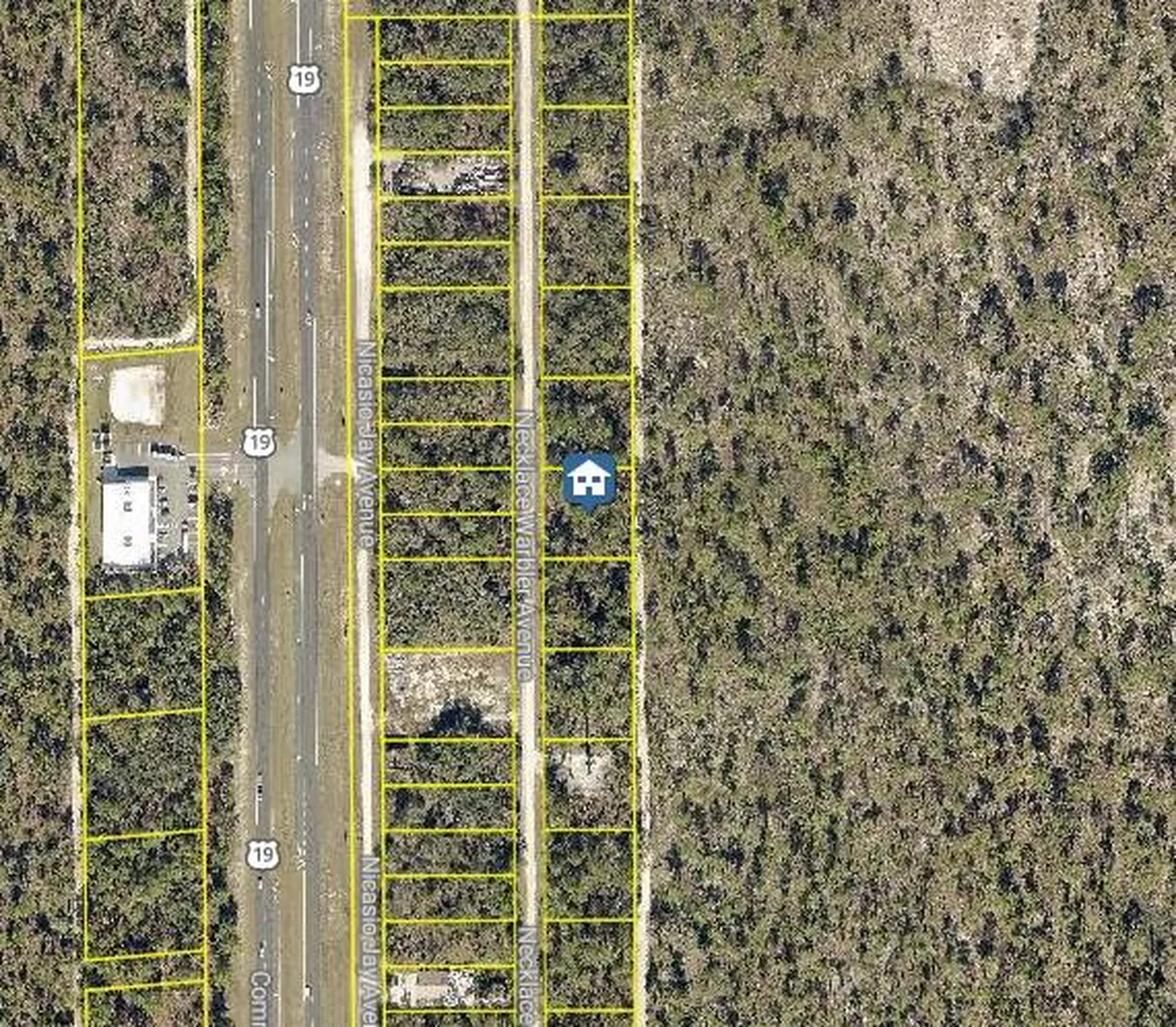 Lot 8 Necklace Warbler Avenue Weeki Wachee FL 34614