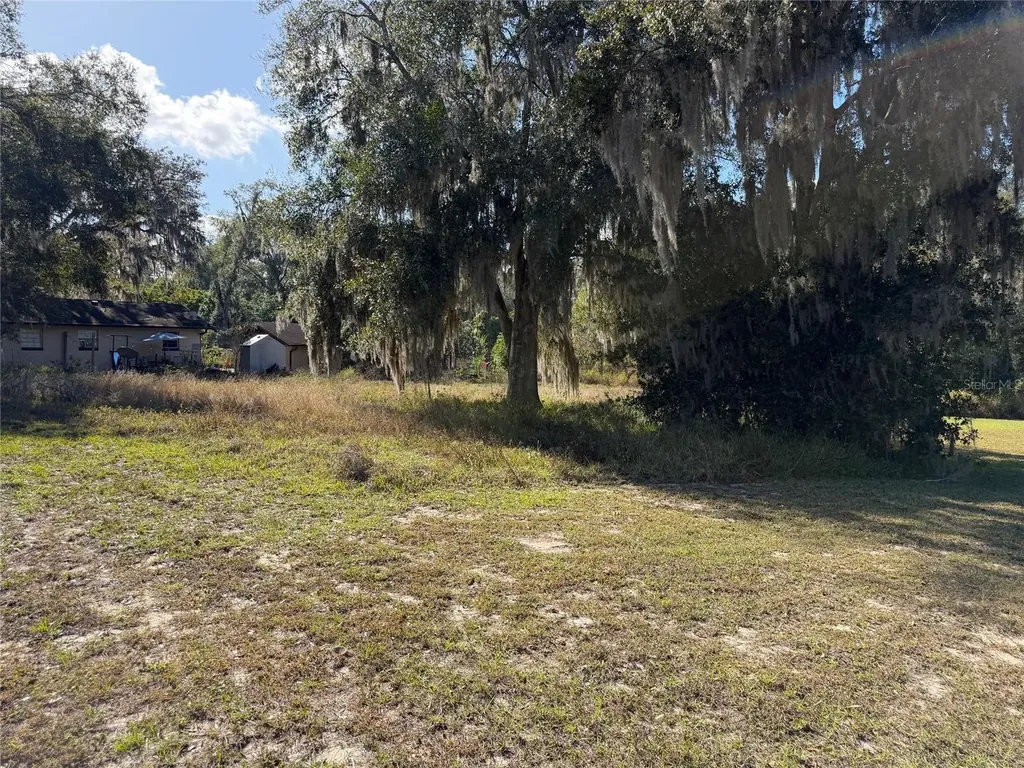 Mohawk Street Mascotte FL 34753