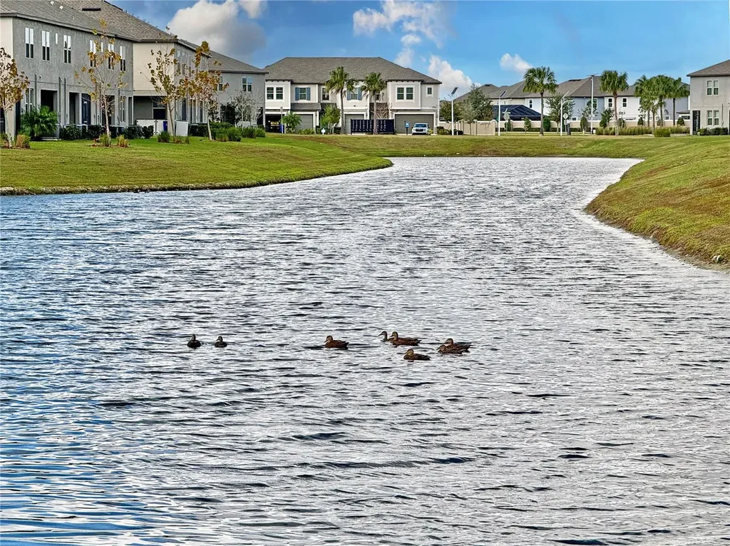 8057 Rolling Shell Trail Wesley Chapel FL 33545