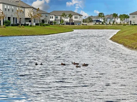 8057 Rolling Shell Trail Wesley Chapel FL 33545
