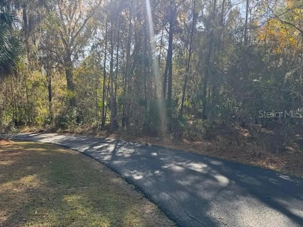 2120 SW 76th Lane Ocala FL 34476