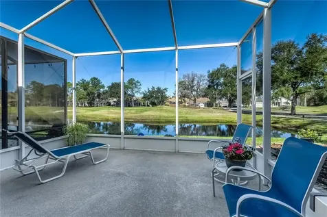 20931 Jaffa Lane Land O Lakes FL 34637