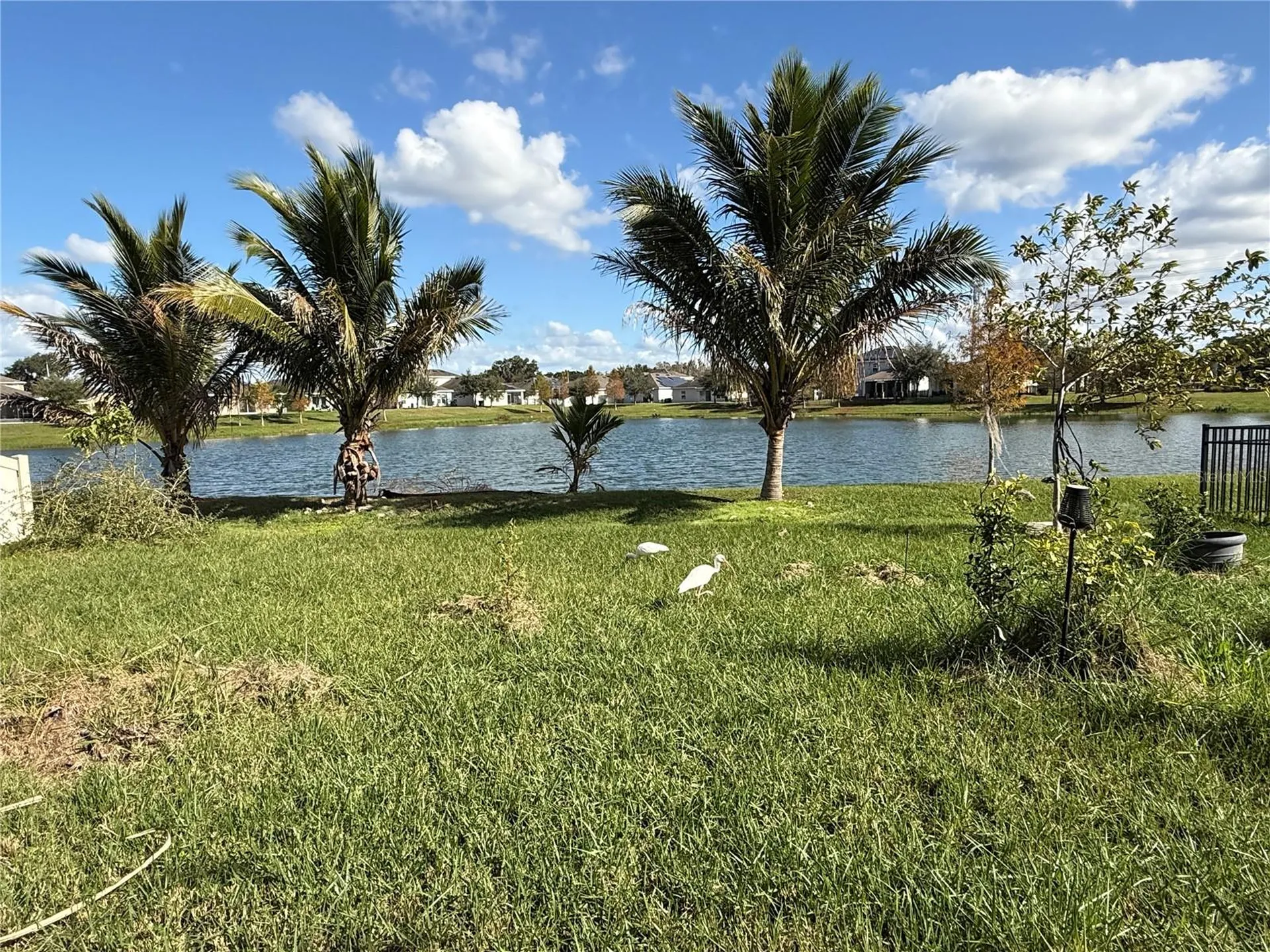3374 Reedy Glen Drive Kissimmee FL 34758