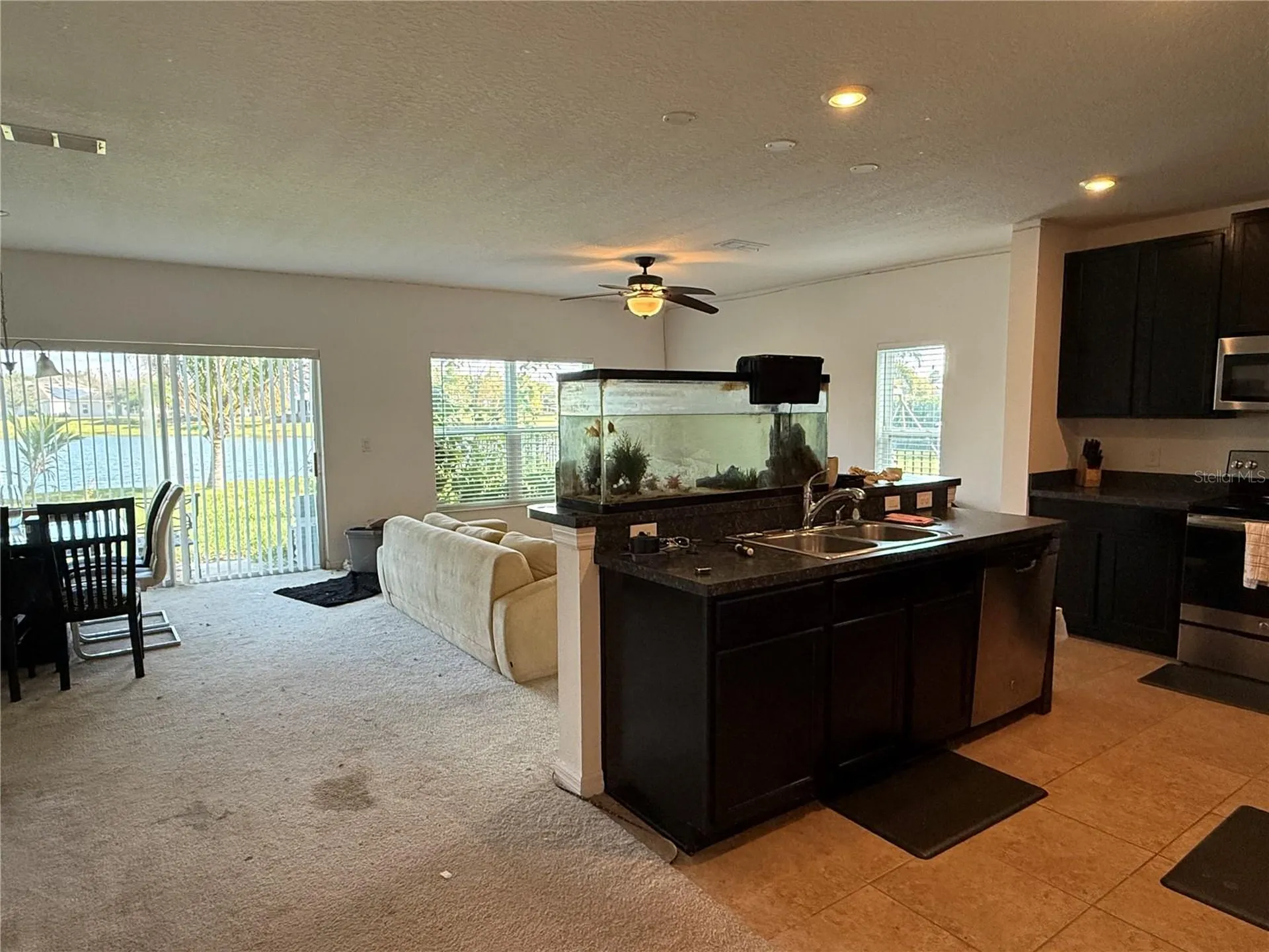 3374 Reedy Glen Drive Kissimmee FL 34758