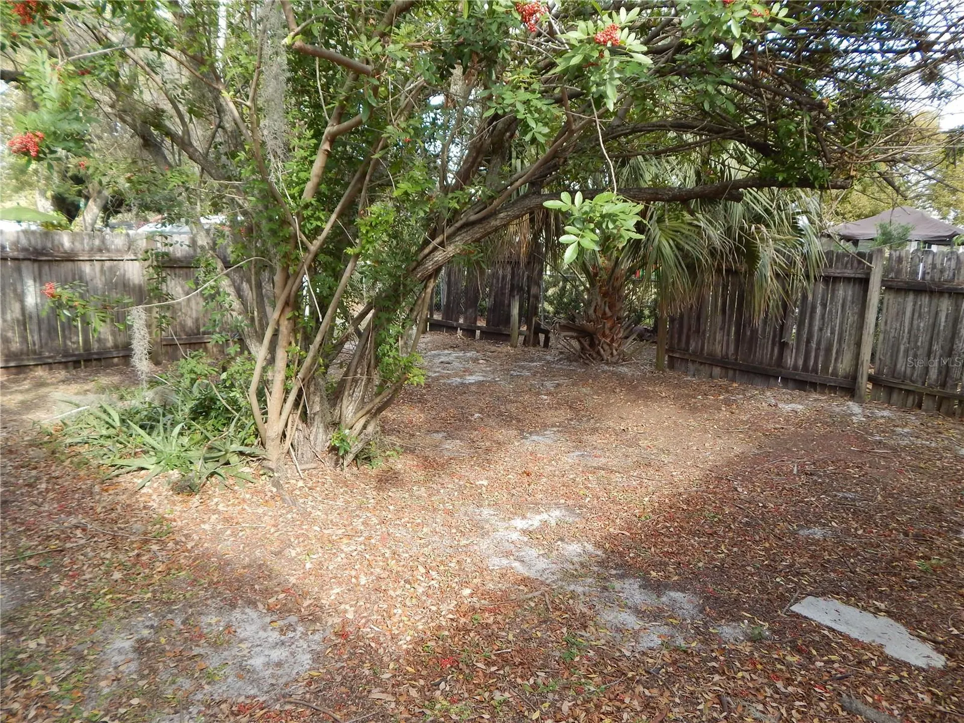 2505 Coral Avenue Kissimmee FL 34741