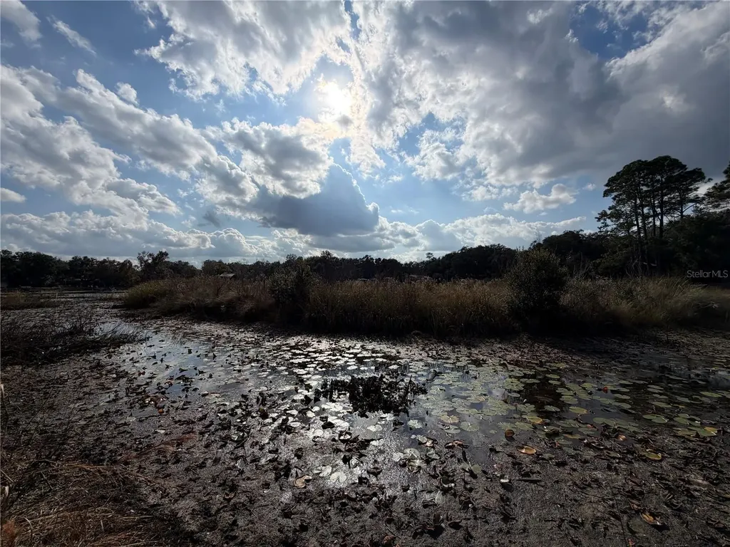 Tbd NE 152nd Lane Salt Springs FL 32134