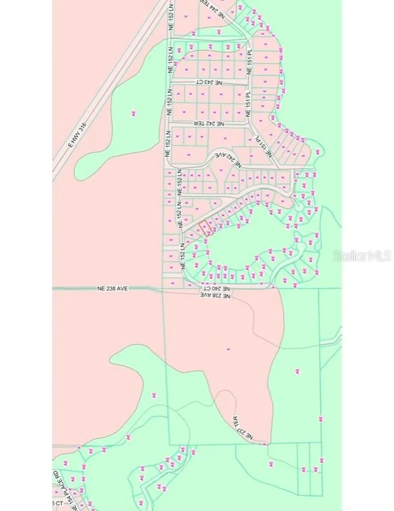 Tbd NE 152nd Lane Salt Springs FL 32134