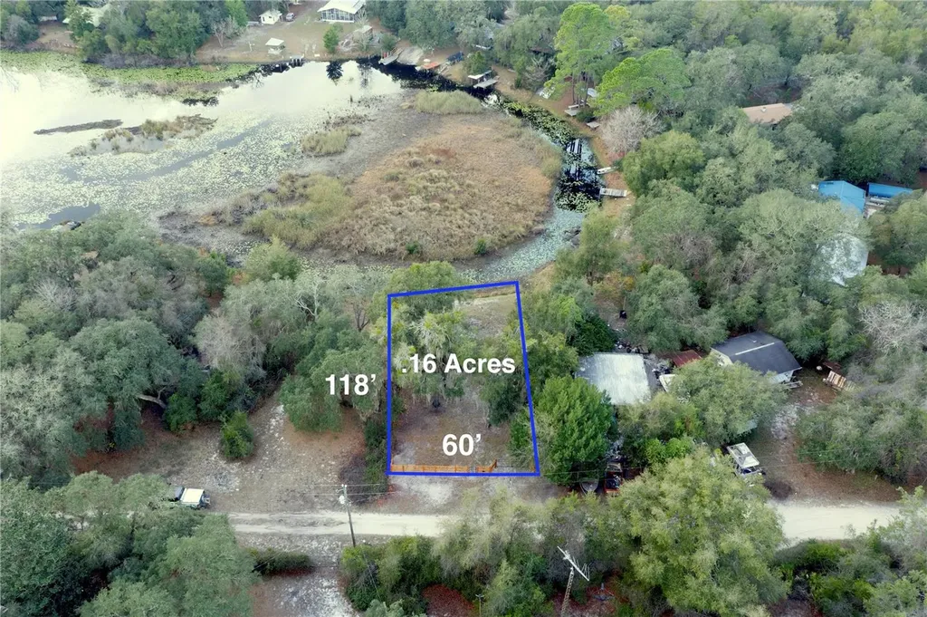 Tbd NE 152nd Lane Salt Springs FL 32134